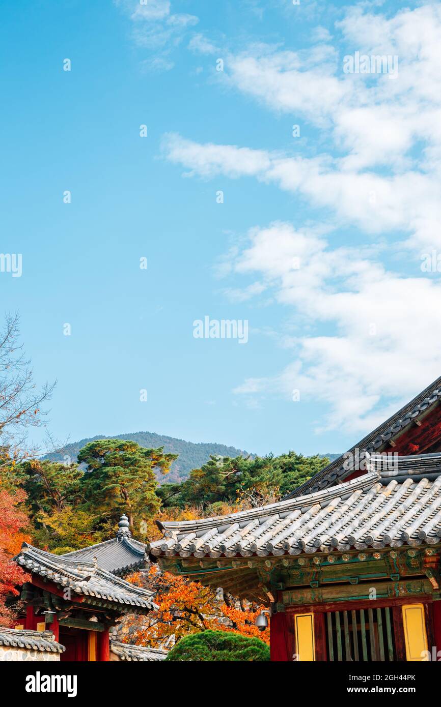 Bulguksa temple at autumn in Gyeongju, Korea Stock Photo - Alamy