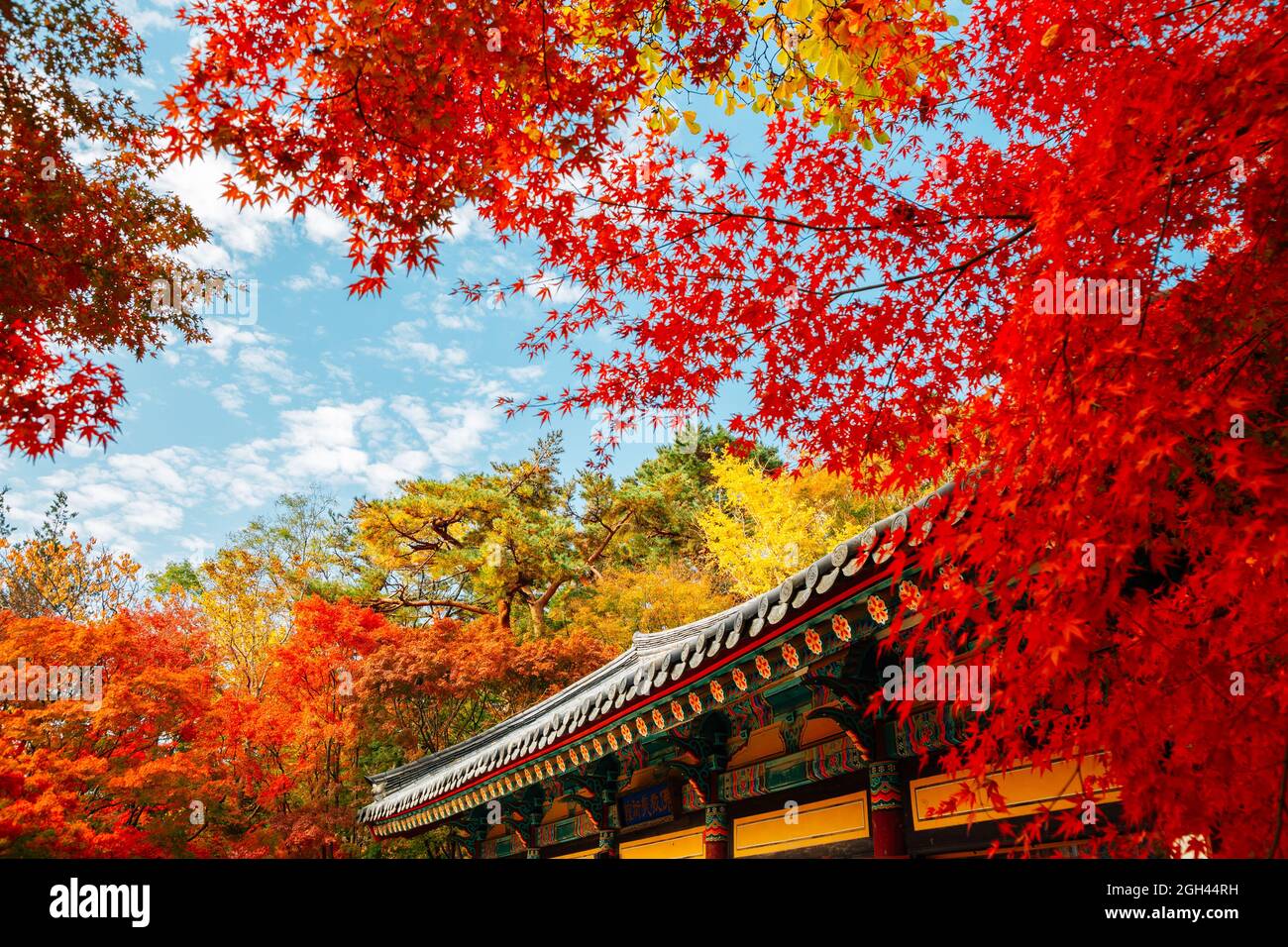 Bulguksa temple with autumn leaves in Gyeongju, Korea Stock Photo - Alamy