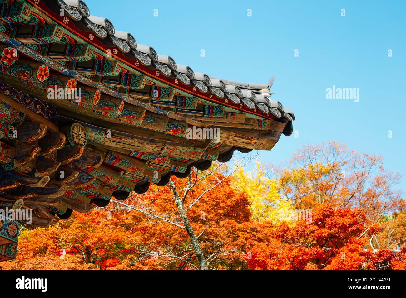Korean traditional roof eaves with autumn leaves at Bulguksa temple in ...