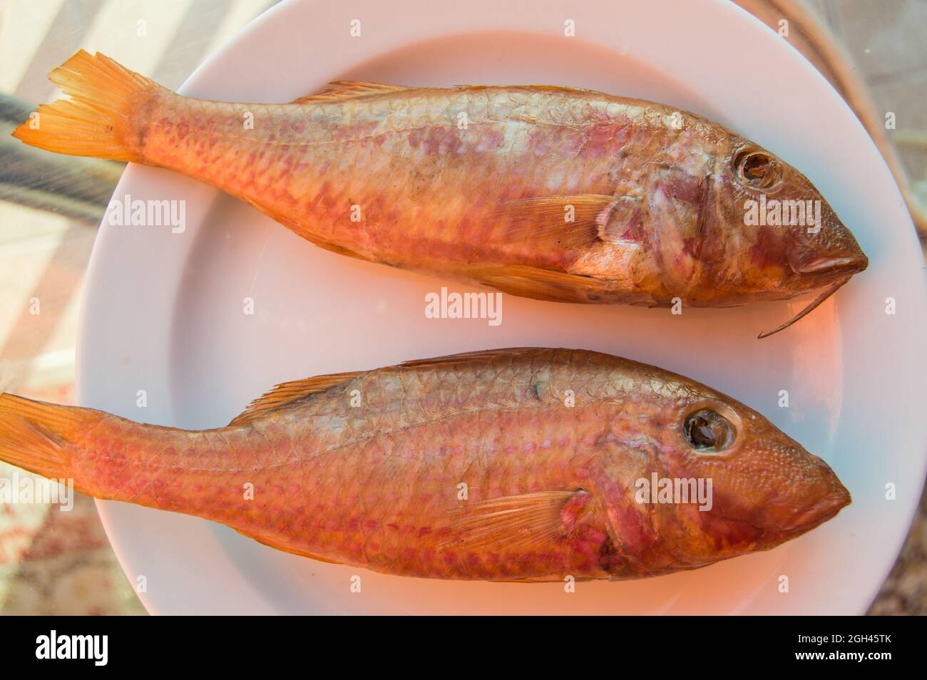 Two fried lamb fish of the perch family on a white plate, top view
