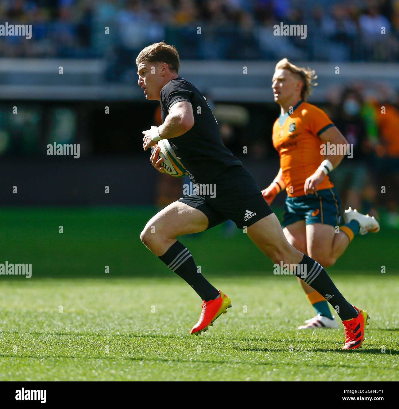 All blacks rugby australia hi-res stock photography and images - Page 12 -  Alamy
