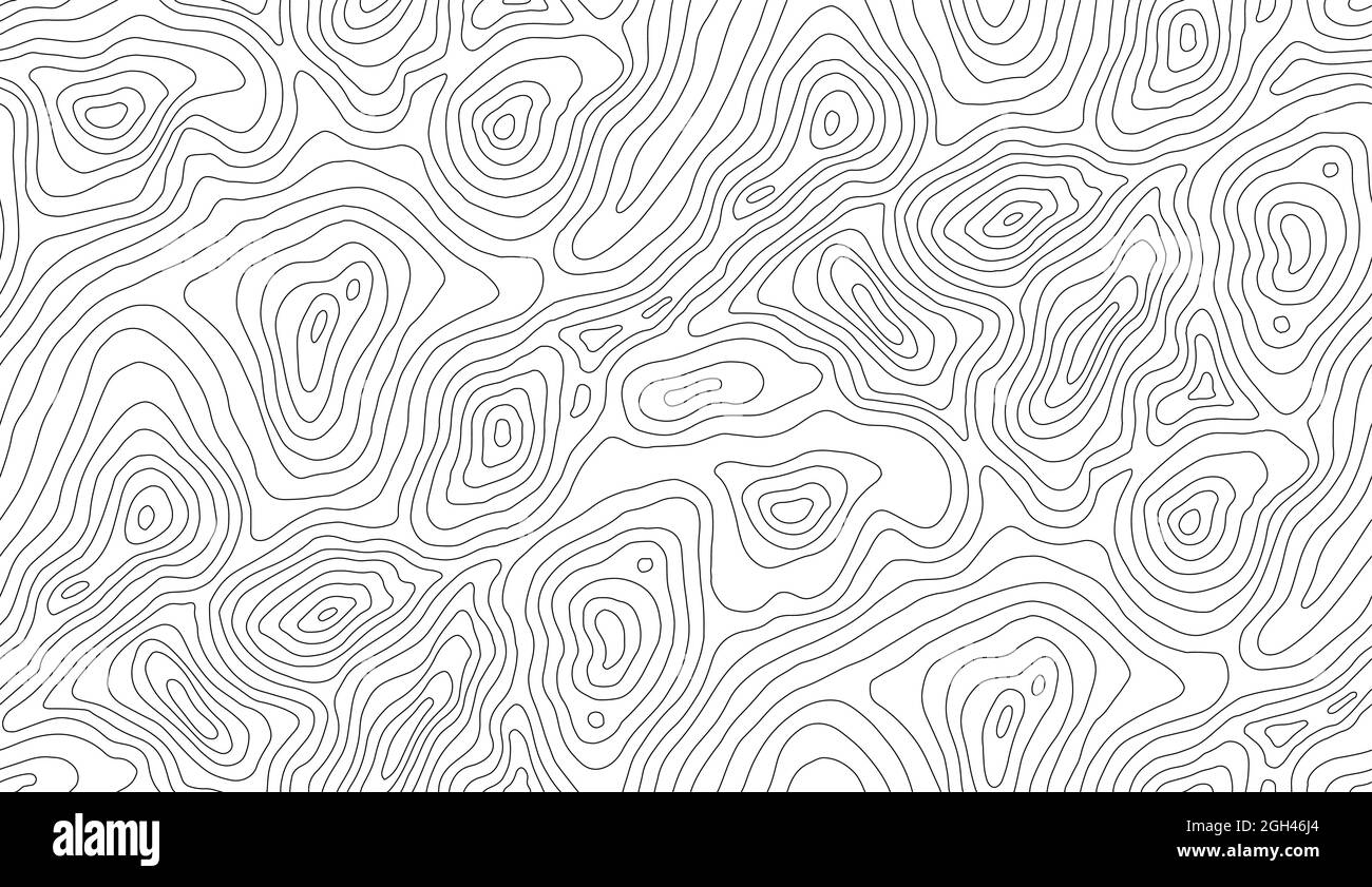 Seamless Vector Topographic Map Pattern. Contour topographic seamless  vector map Stock Vector