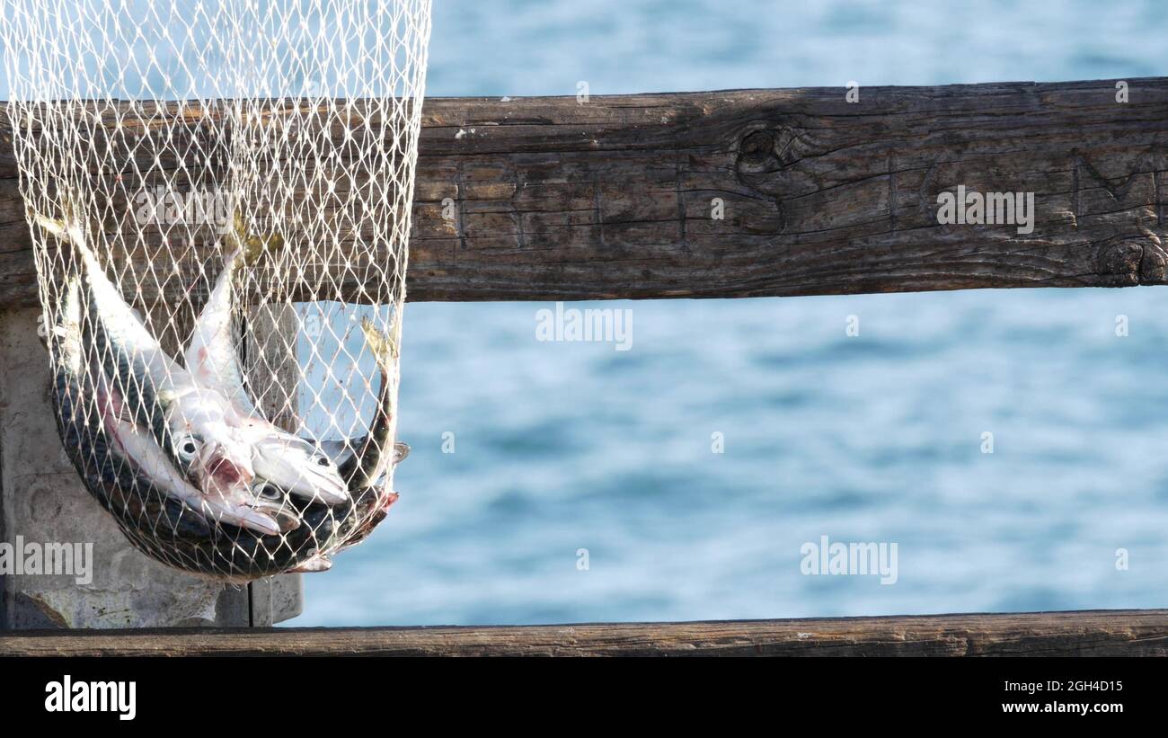 Saltwater angling, wooden pier boardwalk, fishing accessory, tackle or  gear. Oceanside California USA. Sea salt water, ocean seascape. Rod or  spinning, fisherman catch, fresh alive fish in net basket Stock Photo 