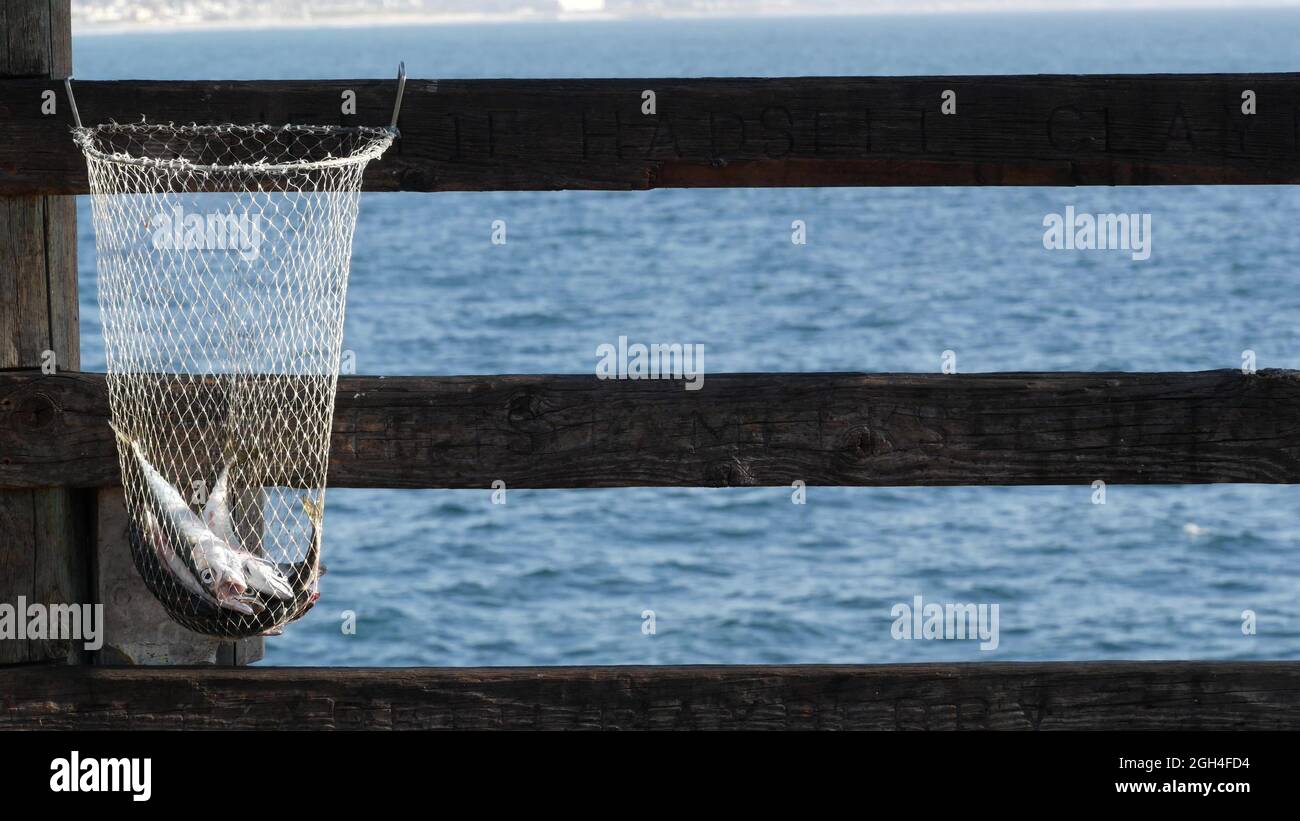 Saltwater angling, wooden pier boardwalk, fishing accessory