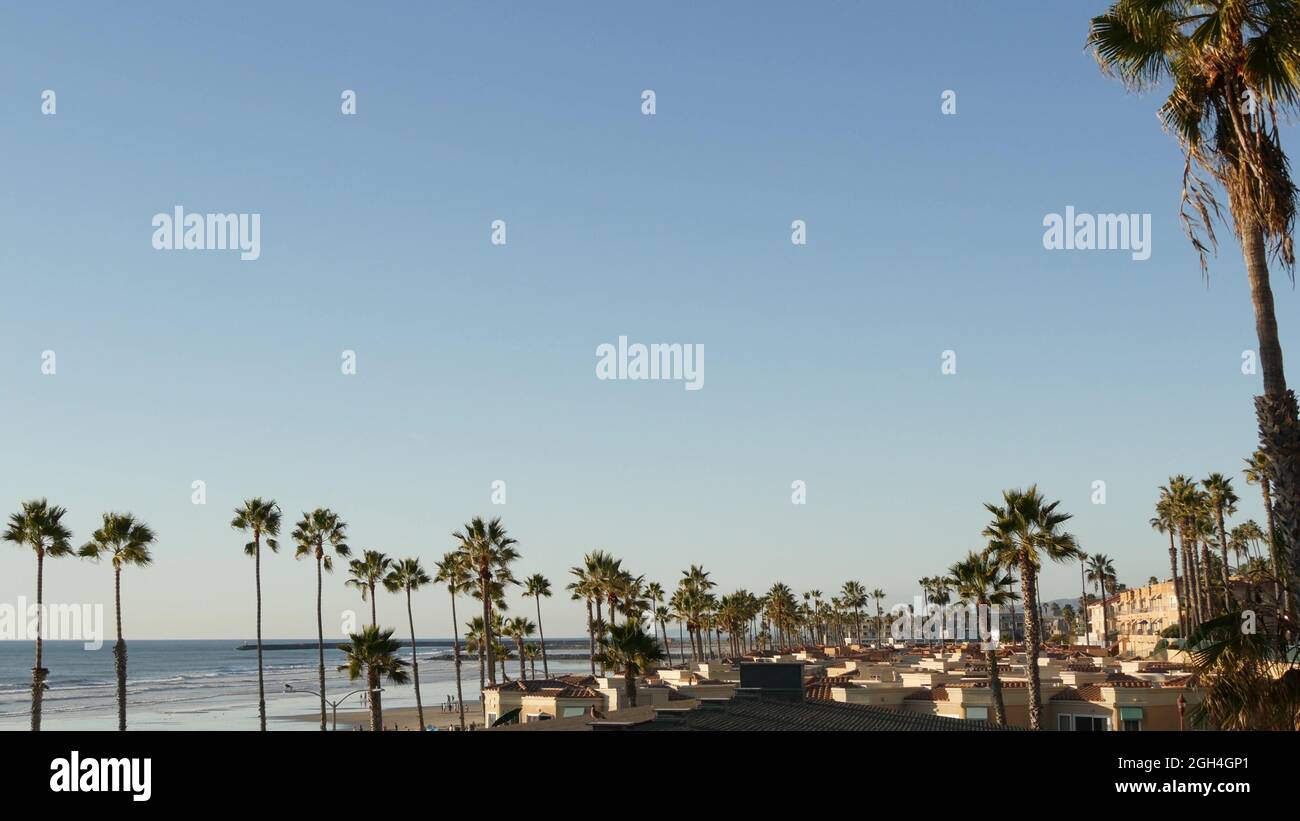 Palm tree perspective in Oceanside, California waterfront pacific ocean ...