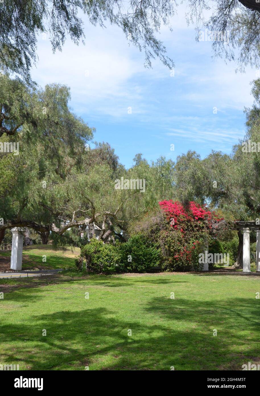 Landscape with scenic view of Presidio Park in San Diego California USA. Stock Photo