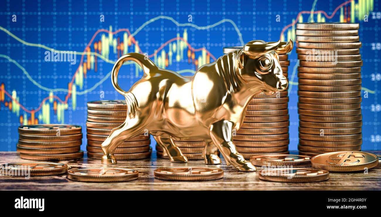 What indicates the start of a bull market run?