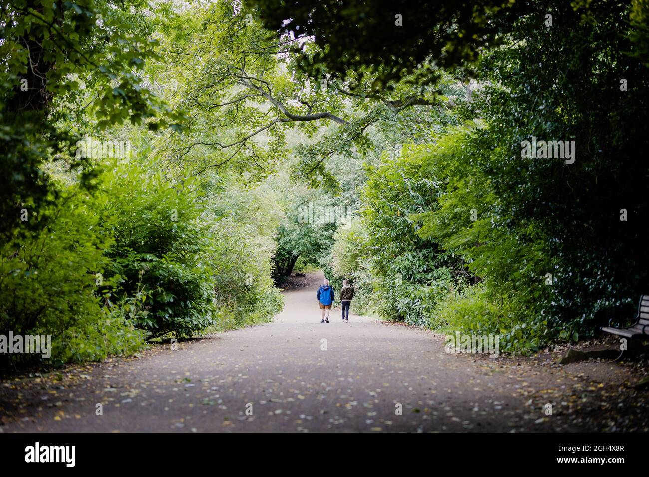 Newcastle tyne autumn trees jesmond dene park hires stock photography