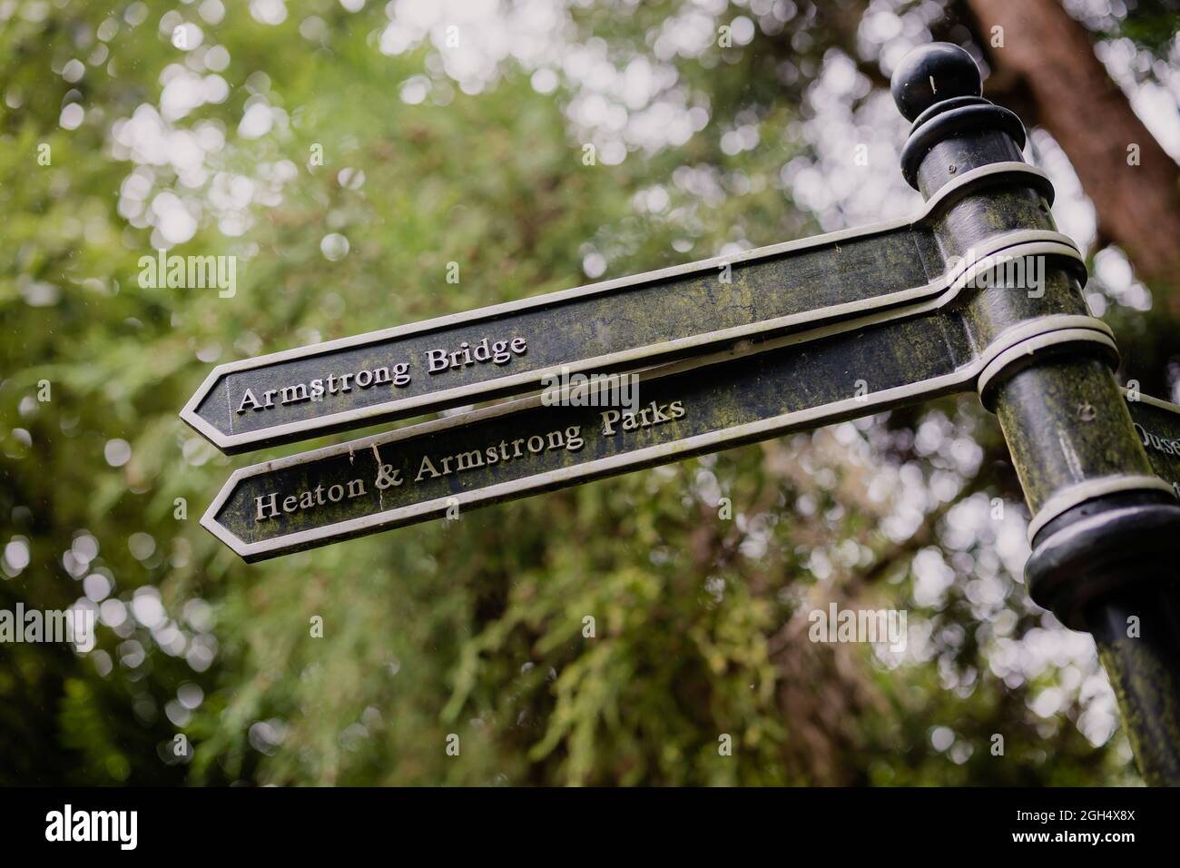 Newcastle tyne autumn trees jesmond dene park hires stock photography