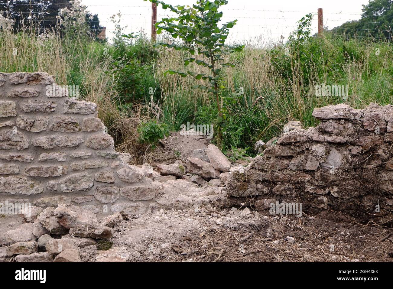 September 2021 - New stone wall being built in a traditional style Stock Photo