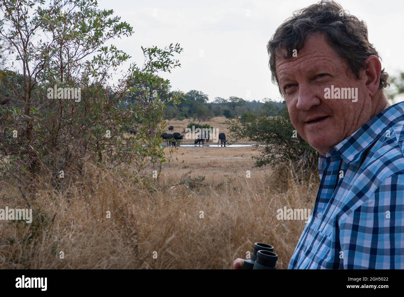 A man at a picnic site in the Kruger National Park watching a herd of buffalo drinking from a wateringhole Stock Photo