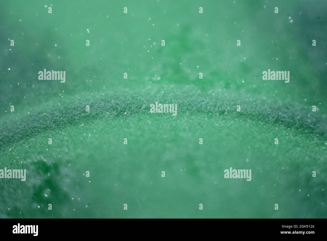 frig snow on green bottle with selective focus Stock Photo