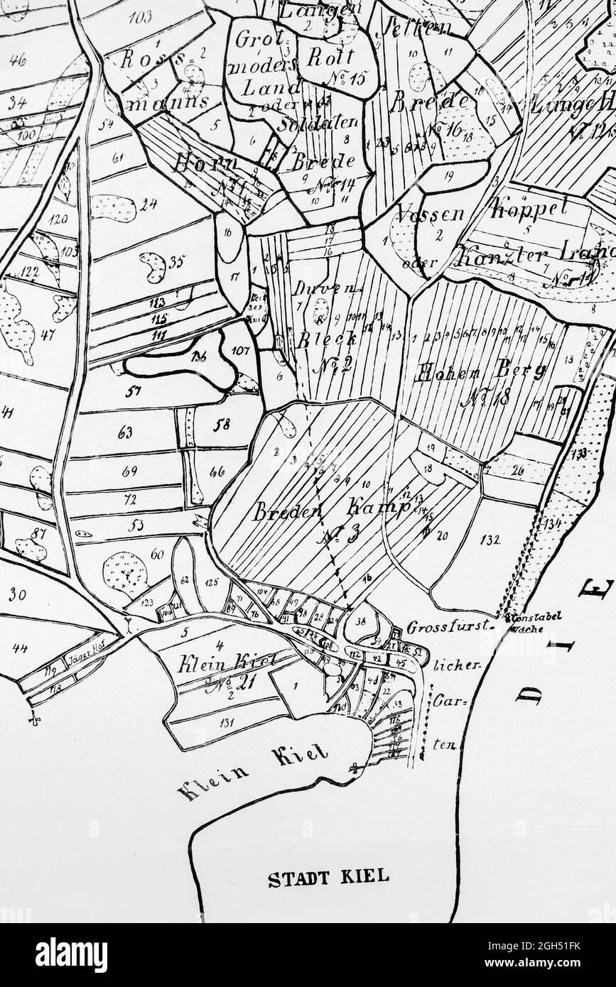 Detail of the historic map of Brunswik and etstaes in 1769, north of Kiel town, scale about 1:4600, illustration, , Schleswig-Holstein, North Germany, Stock Photo