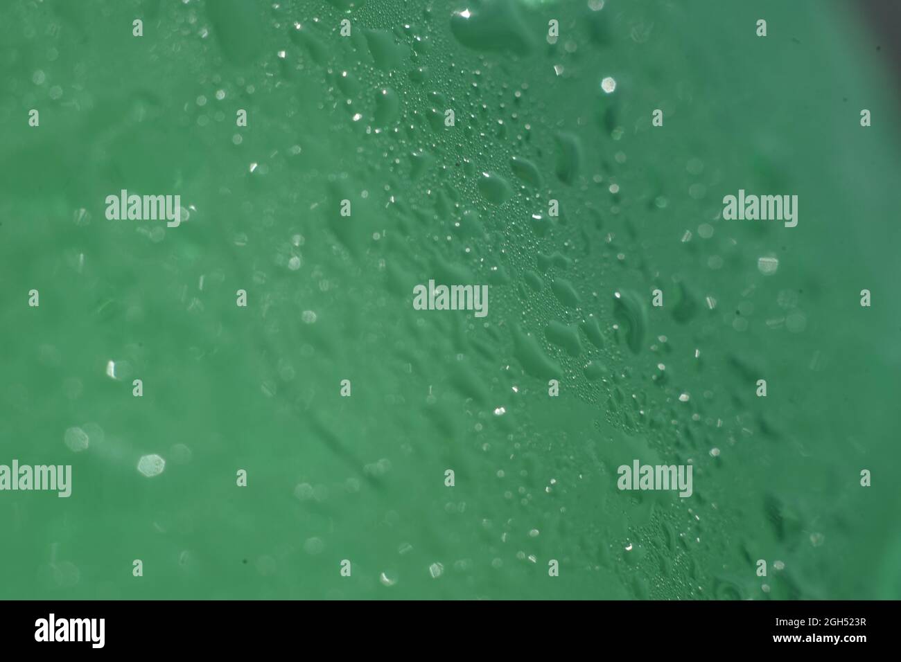 water drops on a green bottle with selective focus Stock Photo