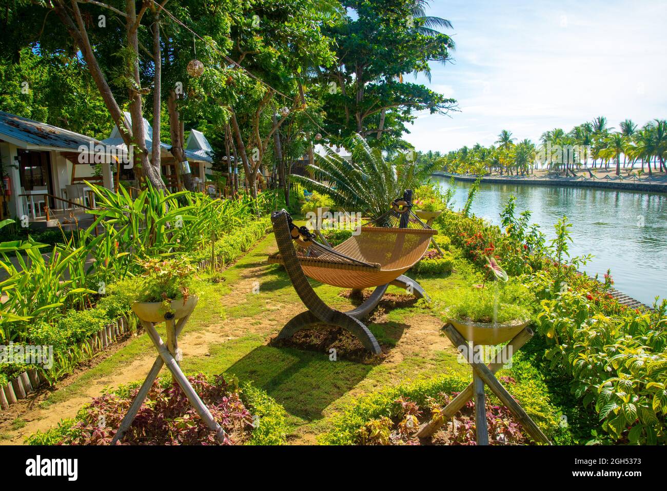 trees on the beach, cradle, daanbantayan cebu Stock Photo Alamy