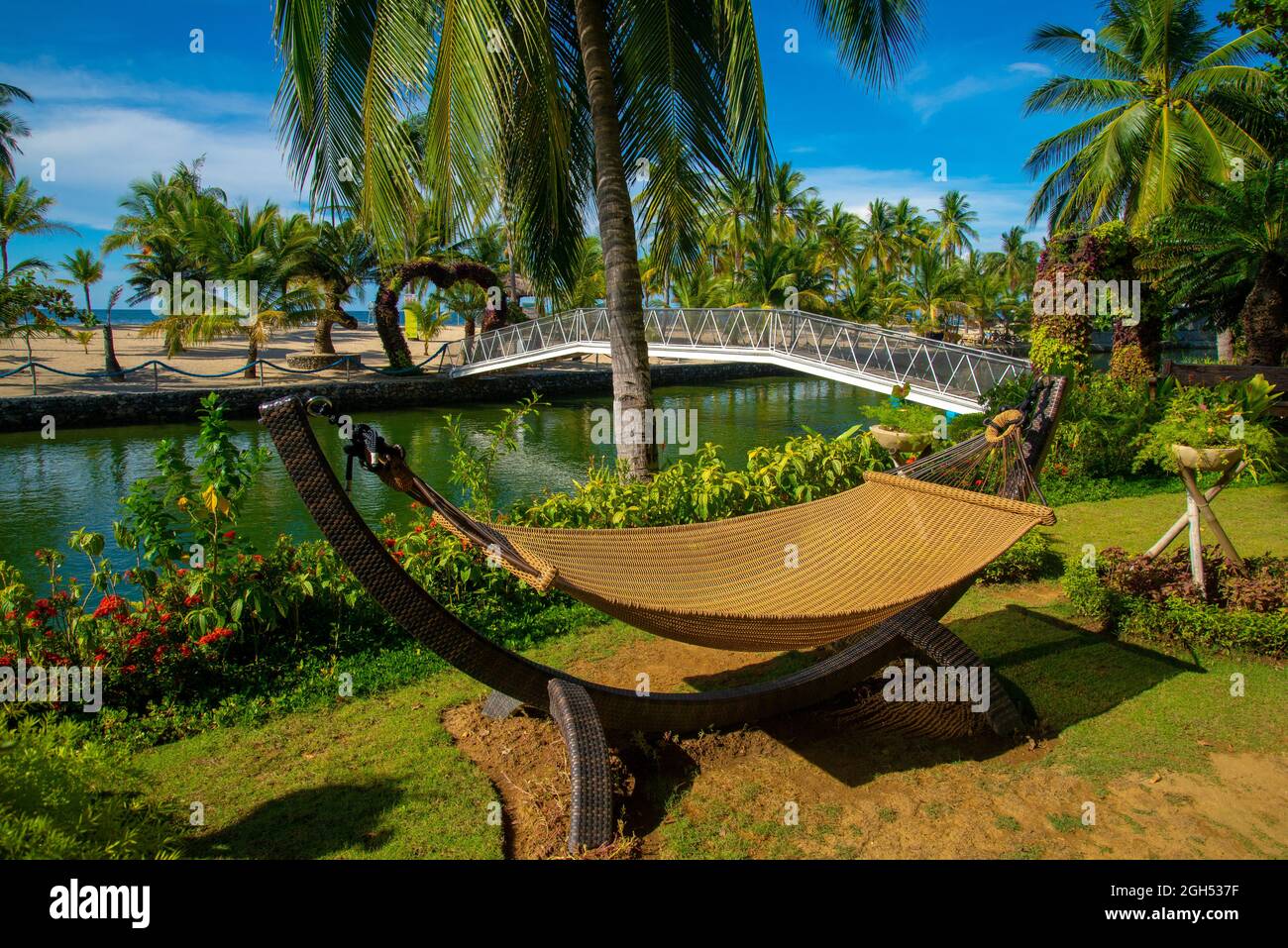 trees on the beach, cradle, daanbantayan cebu Stock Photo Alamy
