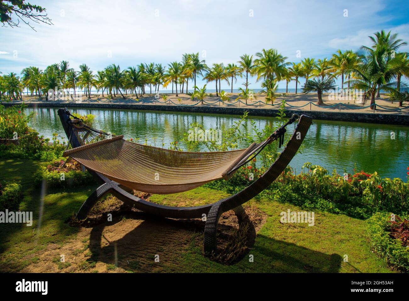 trees on the beach, cradle, daanbantayan cebu Stock Photo Alamy