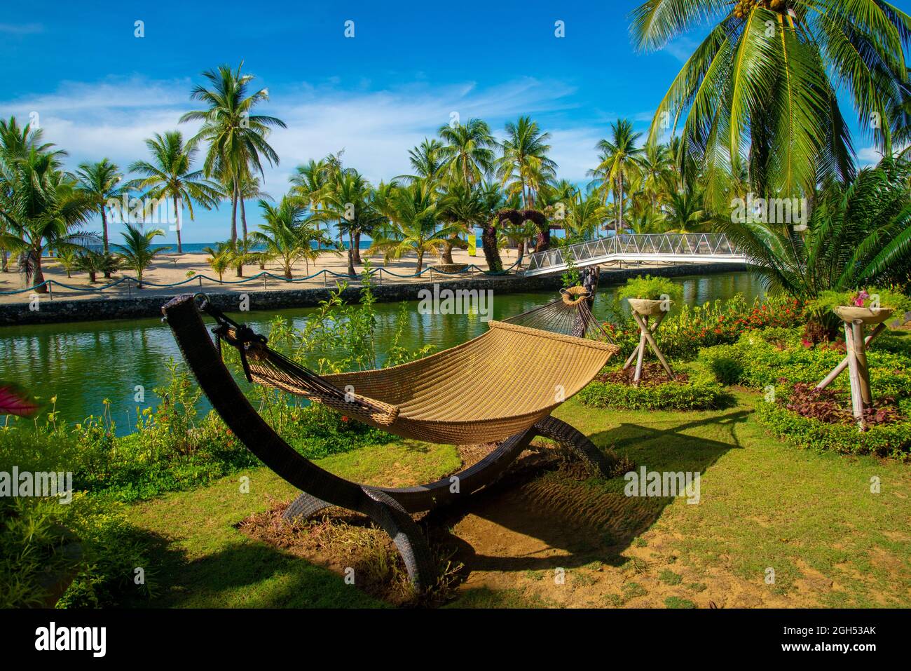 trees on the beach, cradle, daanbantayan cebu Stock Photo Alamy