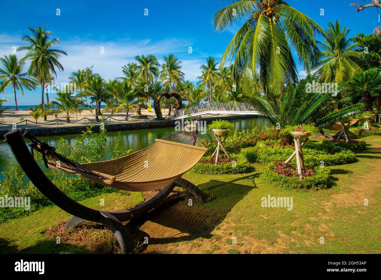 trees on the beach, cradle, daanbantayan cebu Stock Photo Alamy