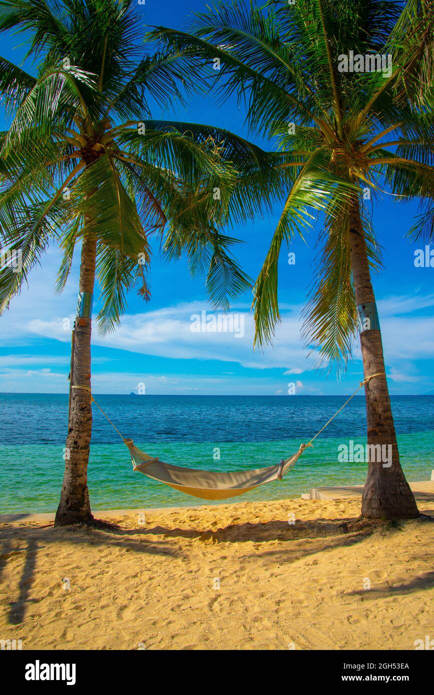 trees on the beach, cradle, daanbantayan cebu Stock Photo Alamy