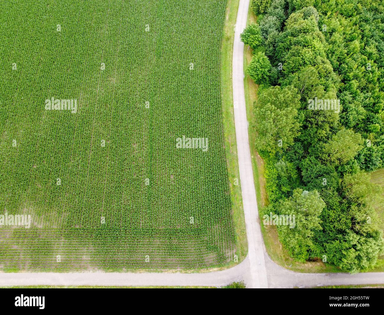 An aerial view of a green agricultural field with roads and trees Stock ...
