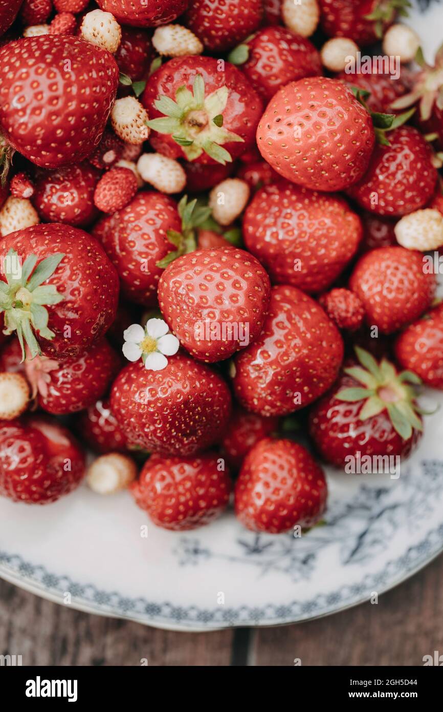 Fresh strawberries and wild strawberries on a vintage plate Stock Photo