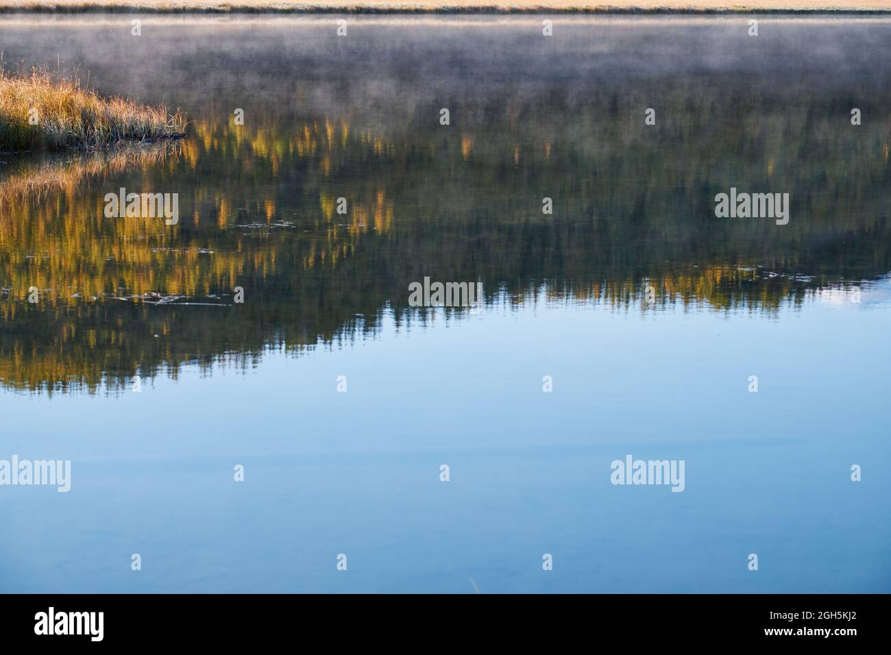 Reflection of autumn forest with Larix sibirica in water of mountain lake Dzhangyskol on Eshtyke plateau. Altai, Siberia, Russia Stock Photo