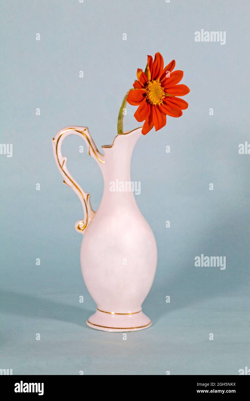 A petite bouquet of colorful garden flowers in a small vase on a plain background. Stock Photo