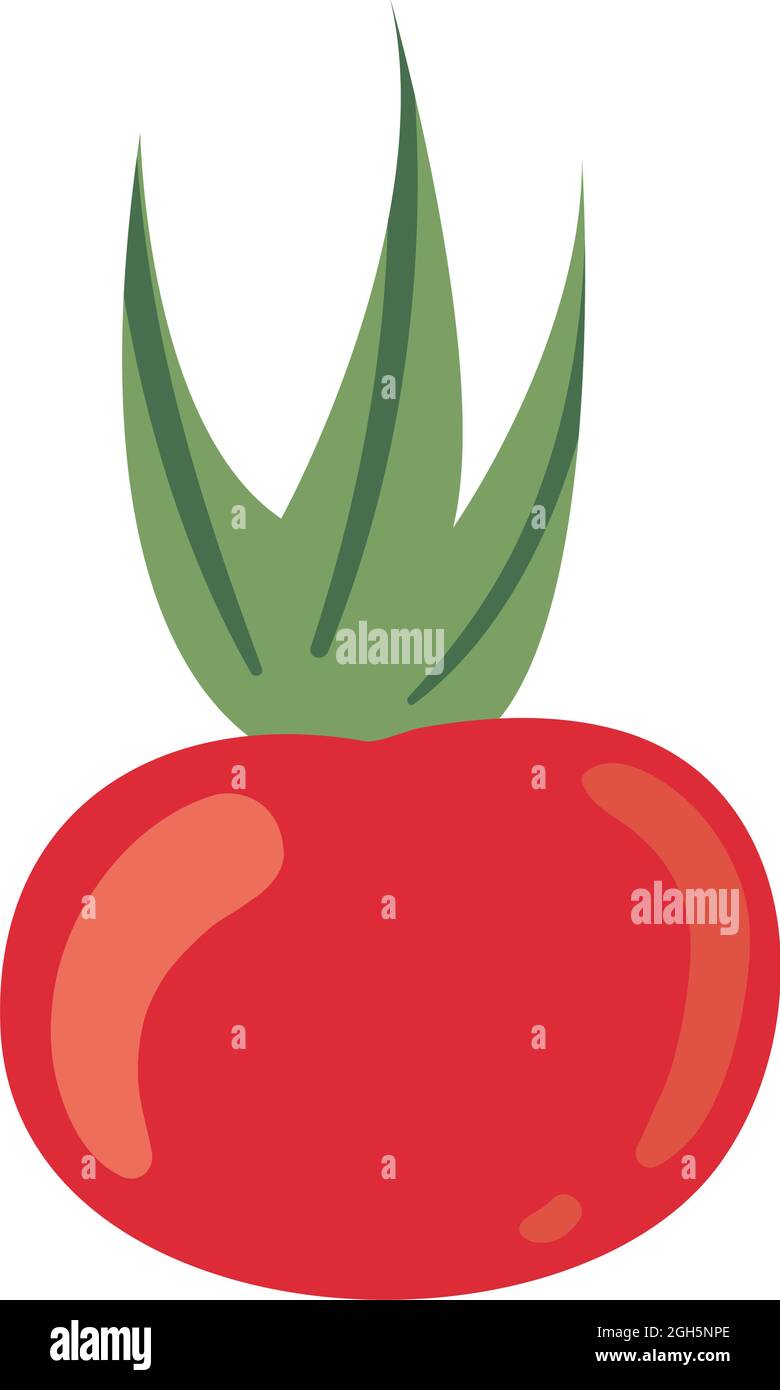 red tomato vegetable healthy icon Stock Vector Image & Art - Alamy