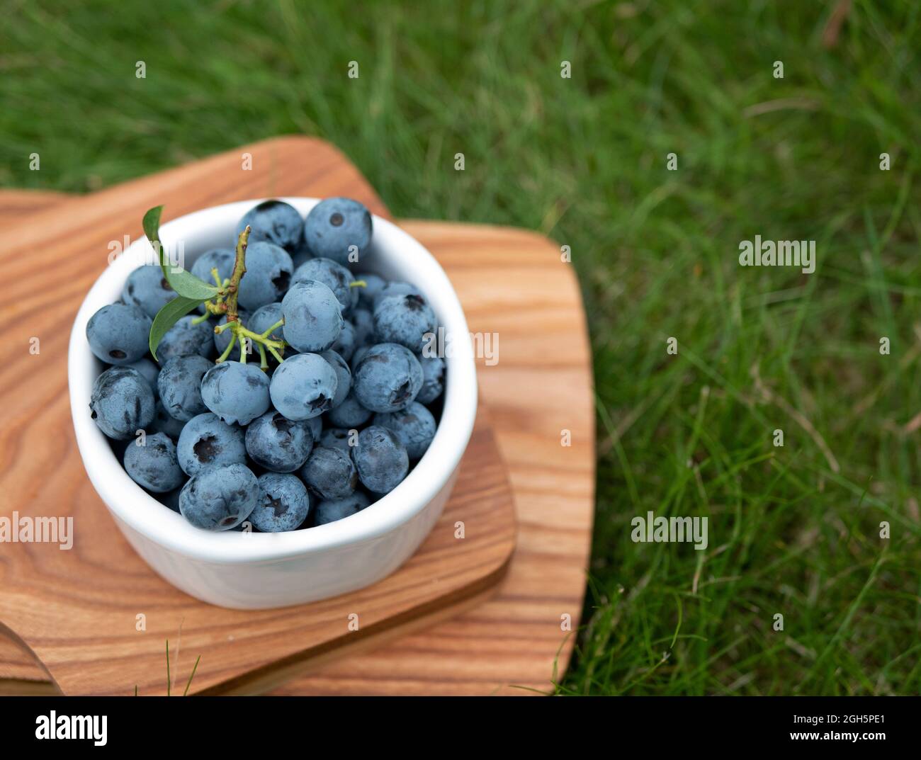 Freshly picked blueberries with green leaves in ceramic bowl in the garden. Concept of healthy eating and diet Stock Photo