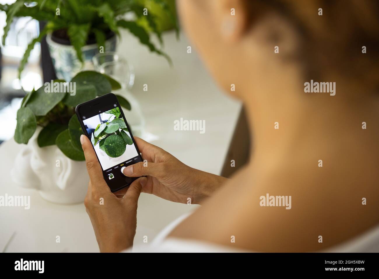 Side view of cheerful ethnic female taking photo of potted plant on cellphone at home Stock Photo
