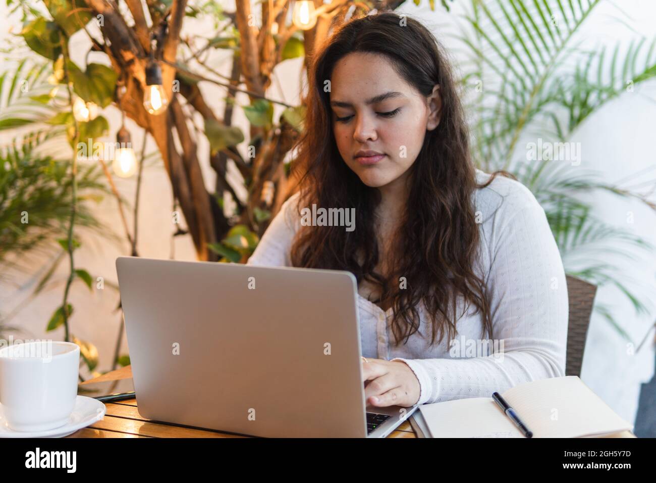 Focused young Latin American female student reading information on laptop screen while preparing for university exam in cozy cafe Stock Photo