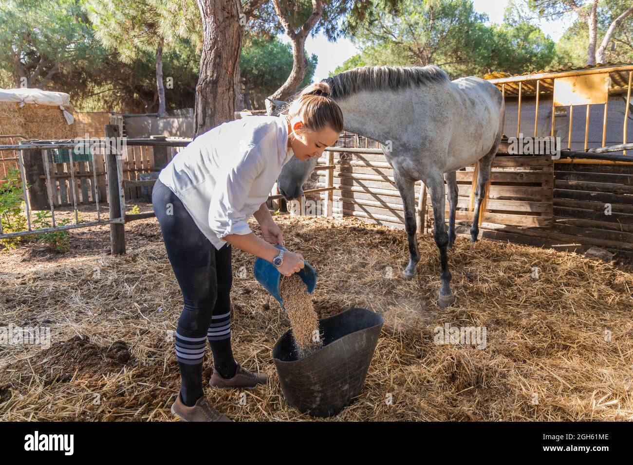 Side view of female farmer pouring food for feeding horses standing in