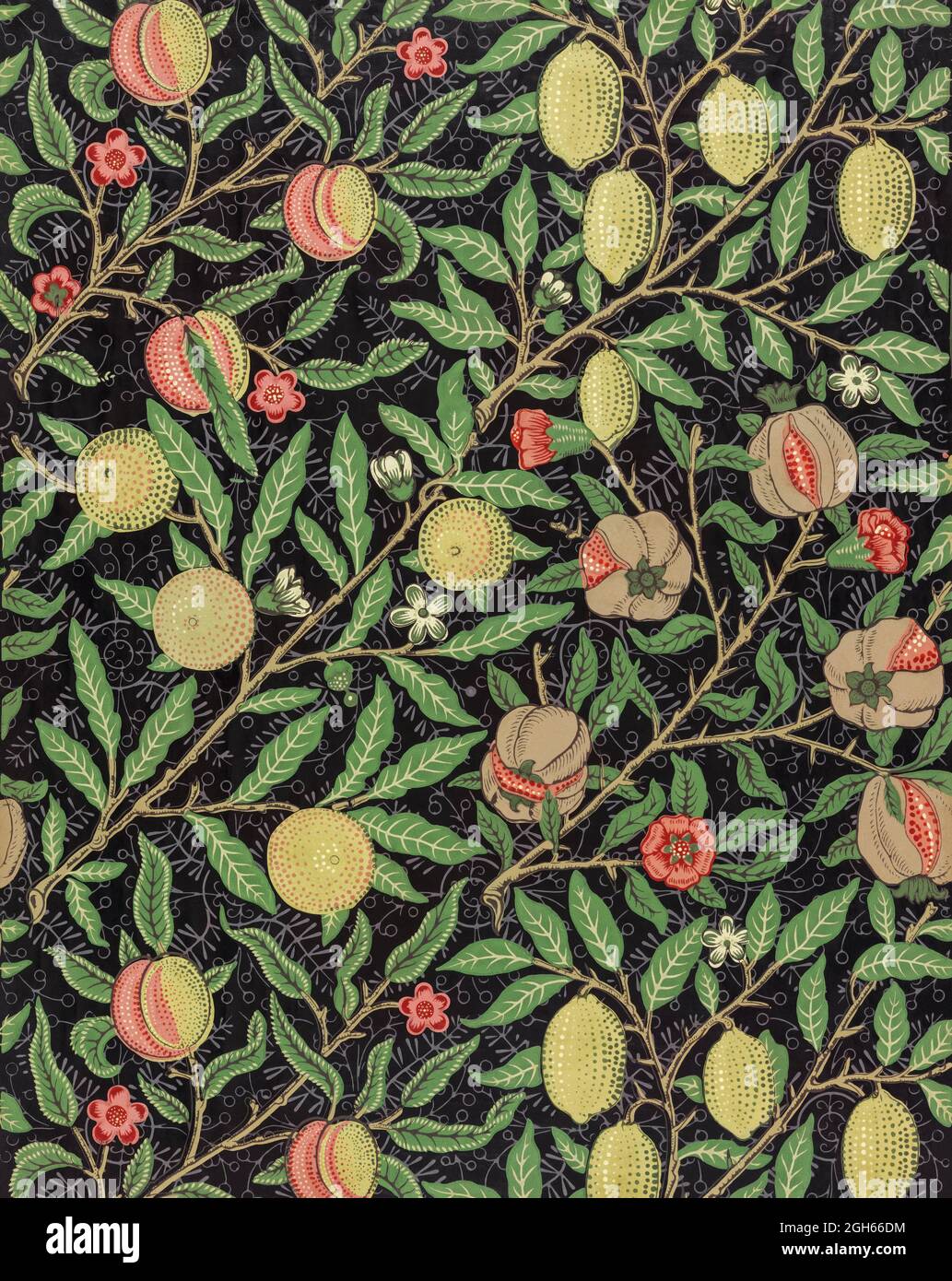 Fruit pattern (1862) by William Morris Stock Photo