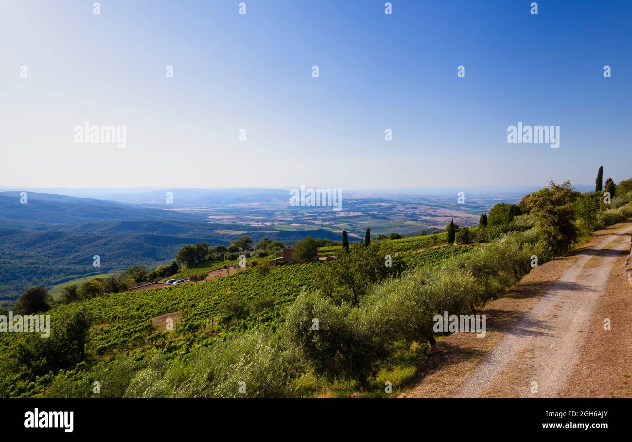 Typical landscape of Tuscany, in Italy. Stock Photo