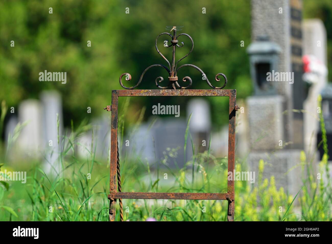 Vienna, Austria. The Vienna Central Cemetery. Dragonfly (Odonata) on a broken grave tablet Stock Photo