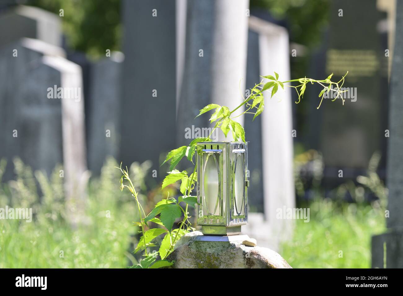 Vienna, Austria. The Vienna Central Cemetery. The Jewish department at the central cemetery Stock Photo