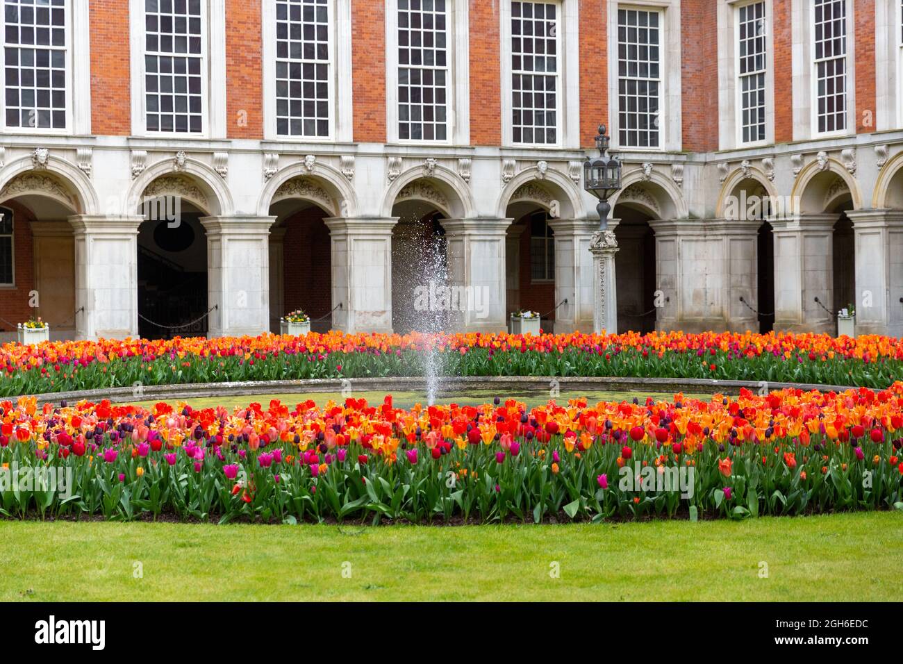 Tulip Festival at Hampton Court Palace Stock Photo Alamy