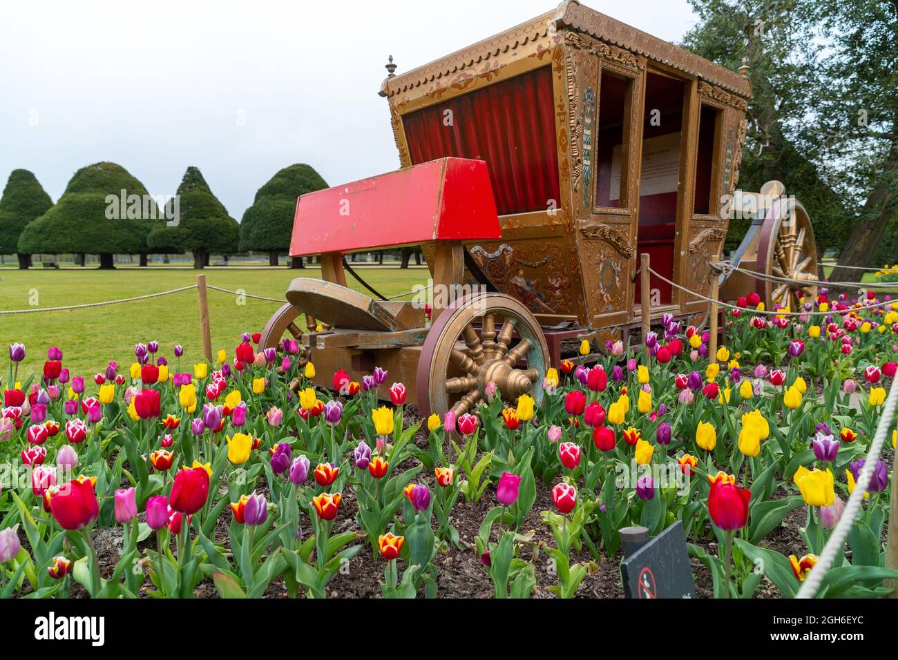Tulip Festival at Hampton Court Palace Stock Photo Alamy