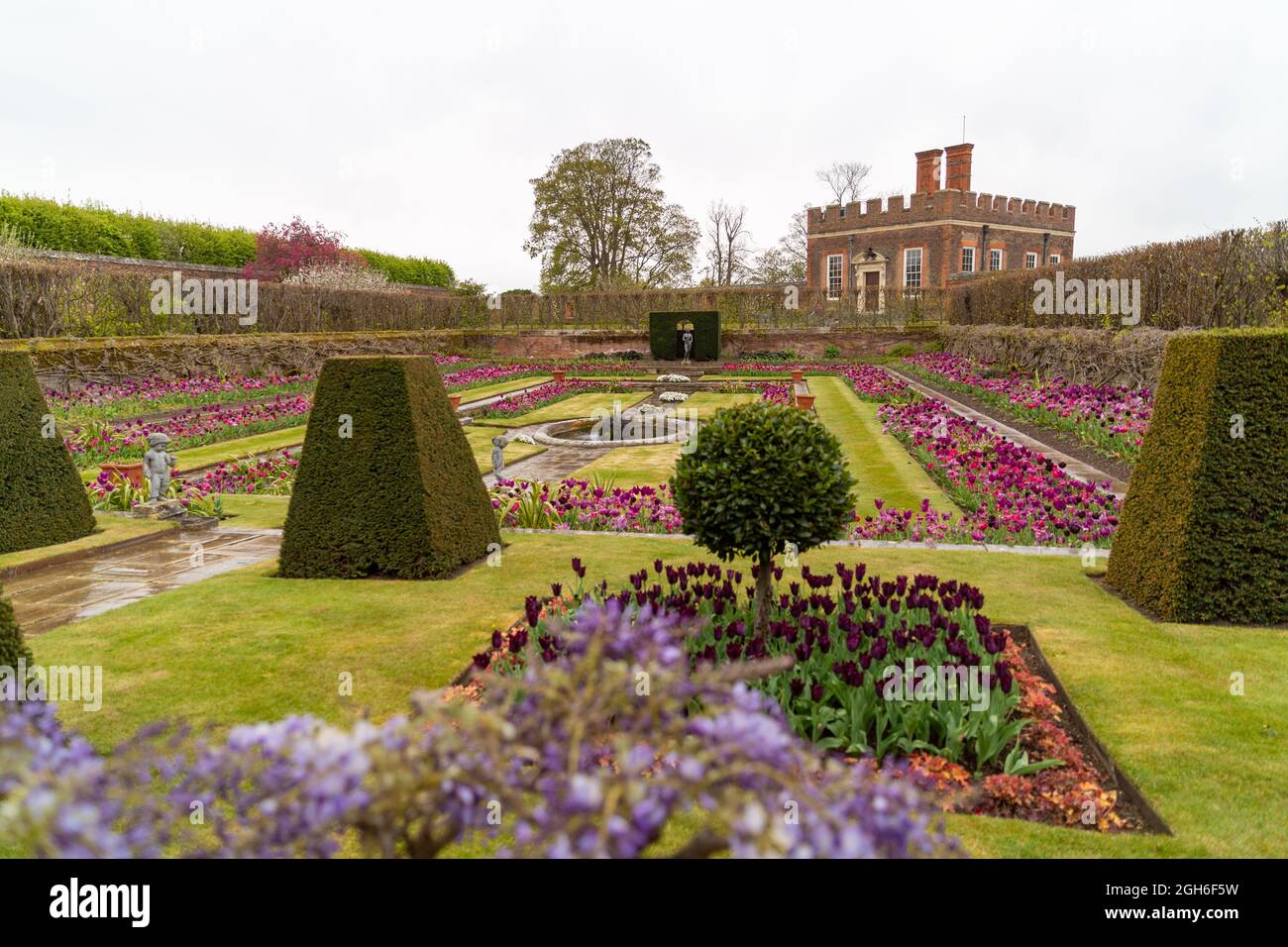 Tulip Festival at Hampton Court Palace Stock Photo Alamy