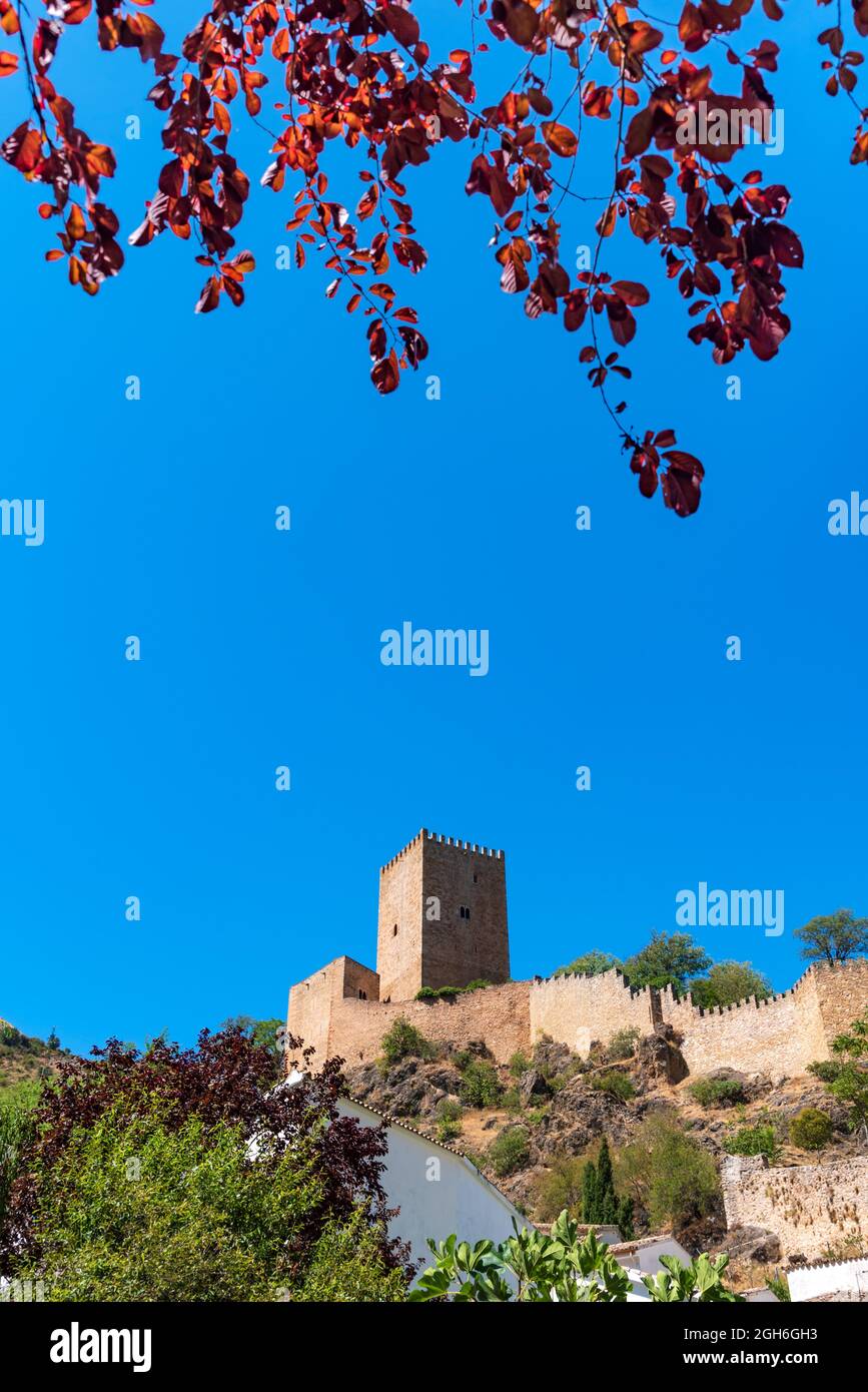 Cazorla Castle framed between leaves and plants. Stock Photo
