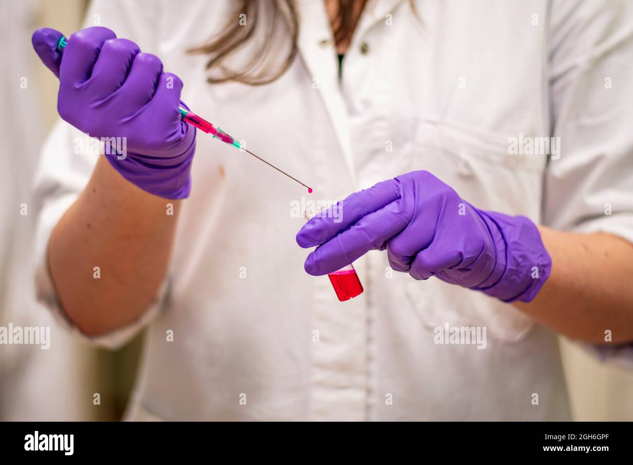 An european researcher adding toxic reagent carefully in a chemistry laboratory wearing gloves and lab coat as protective measure for virus research Stock Photo