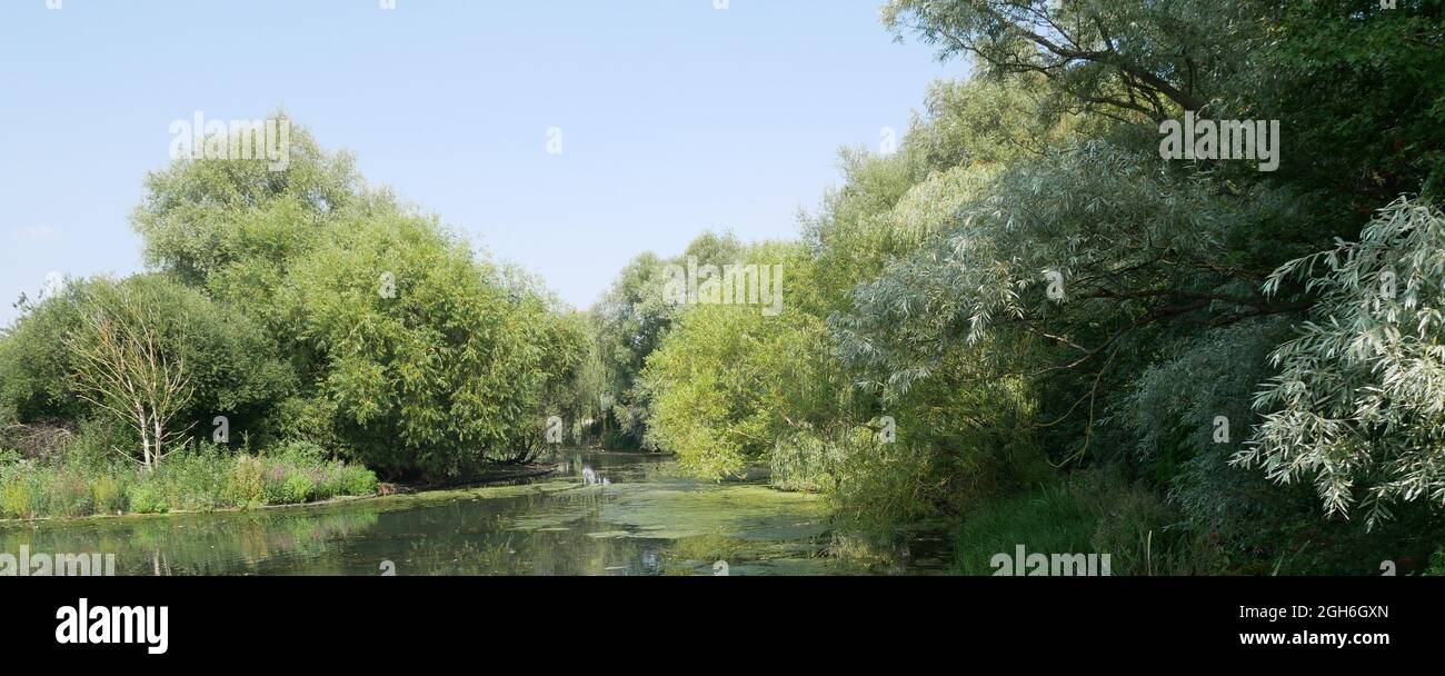 Lake at Thamesmead, London, England Stock Photo Alamy