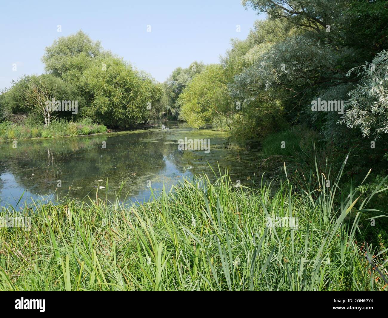 Lake at Thamesmead, London, England Stock Photo Alamy
