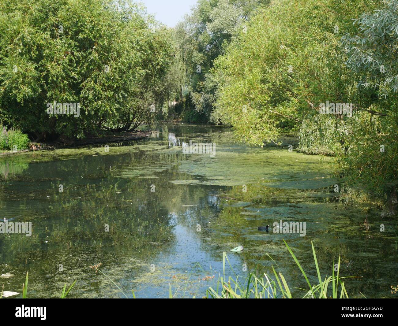 Lake at Thamesmead, London, England Stock Photo Alamy