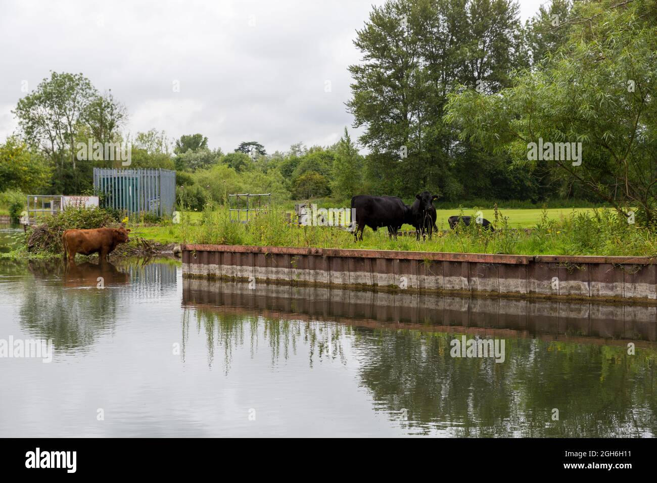 Kennet & Avon Canal, Newbury, Berkshire Stock Photo