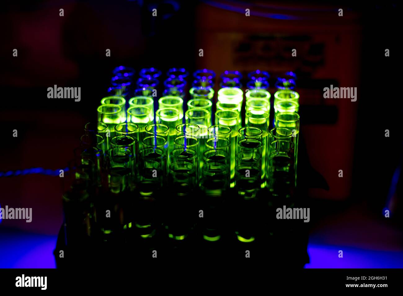 Glowing fluorescent compound collected from column chromatography in a chemistry laboratory for pharmaceutical research Stock Photo