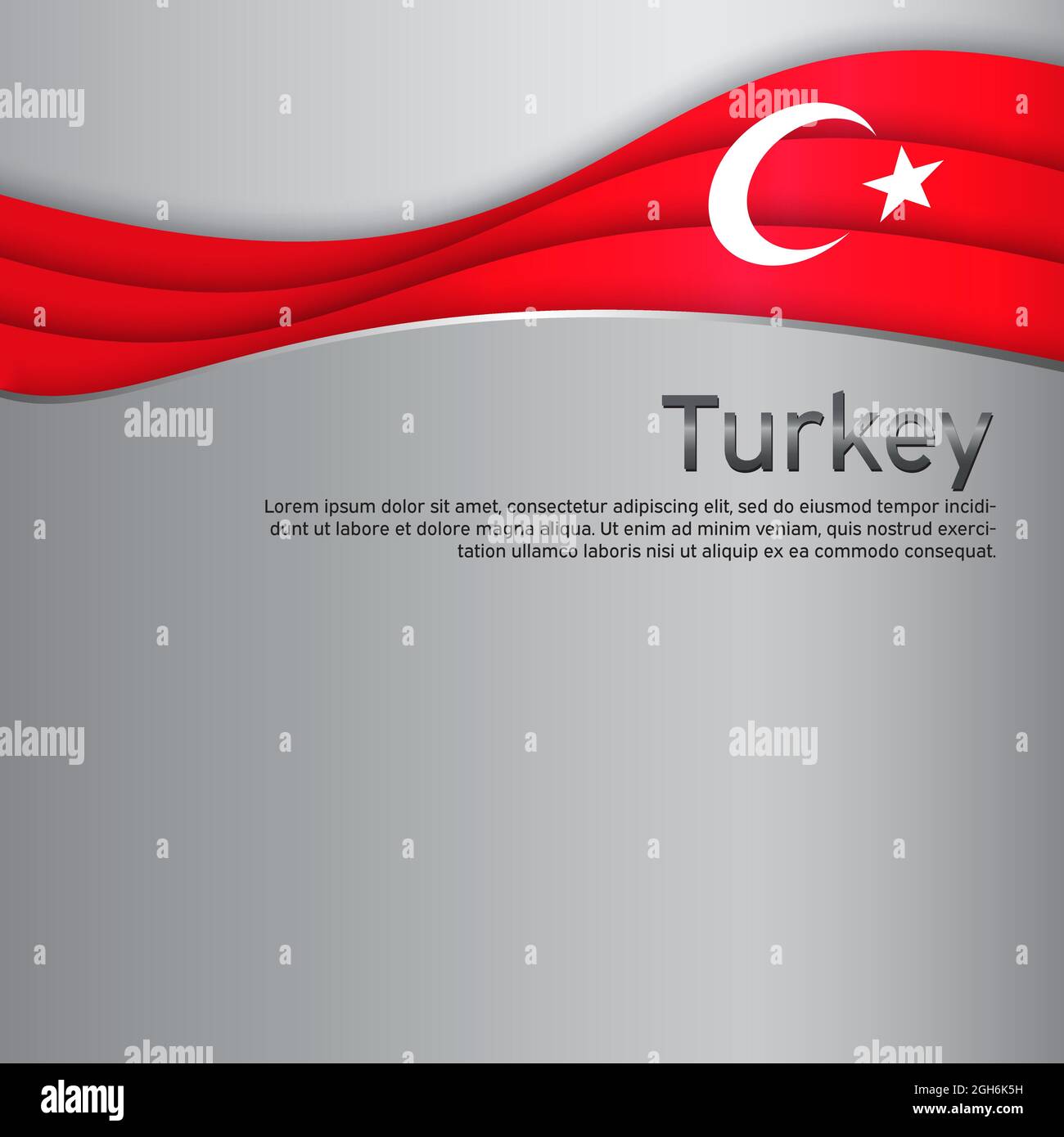 Turkey Flag Turkish Country Steel Metal License Plate Frame 