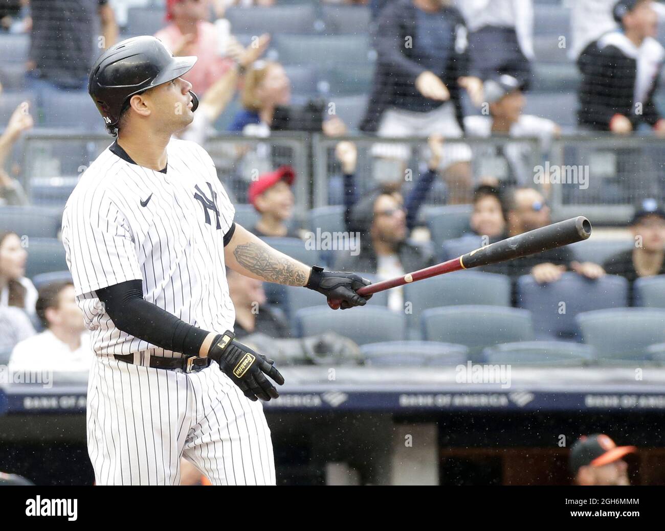 Bronx, United States. 05th Sep, 2021. New York Yankees Gary Sanchez hits a  grand slam home run in the 2nd inning against the Baltimore Orioles at  Yankee Stadium on Sunday, September 5,