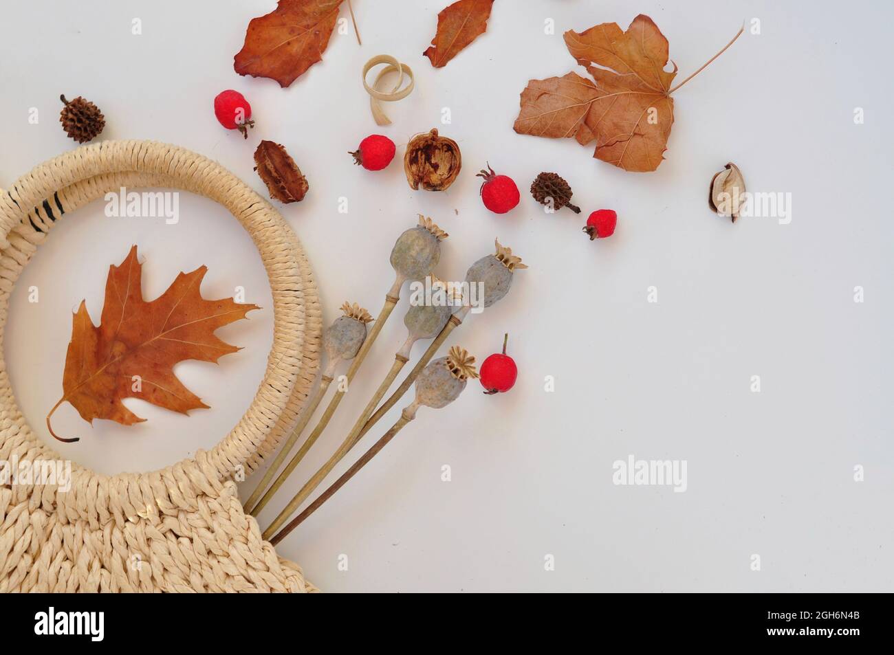 autumn leaves composition with shopping bag on white background Stock Photo